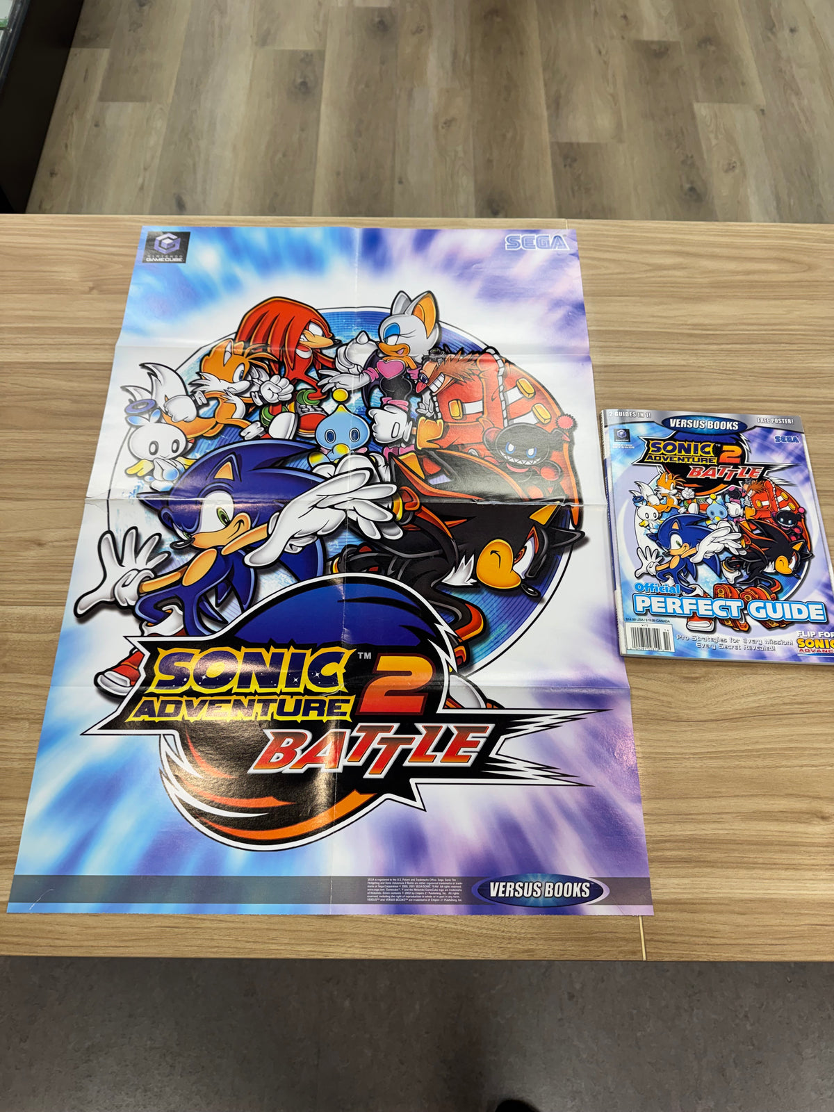 Sonic Advance / Sonic Adventure Battle 2 : 2in1 Strategy Guide ONLY: