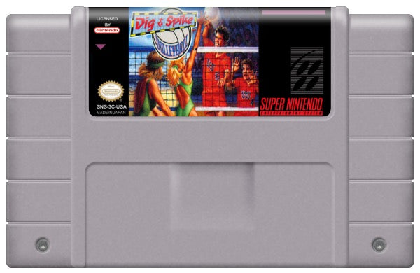 Dig and Spike Volleyball Cartridge