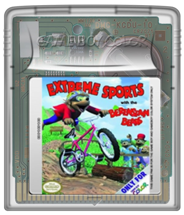 Extreme Sports with the Berenstain Bears Cartridge