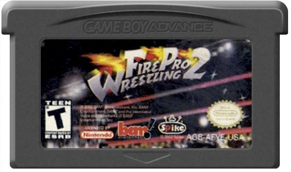 Fire Pro Wrestling 2 Cartridge
