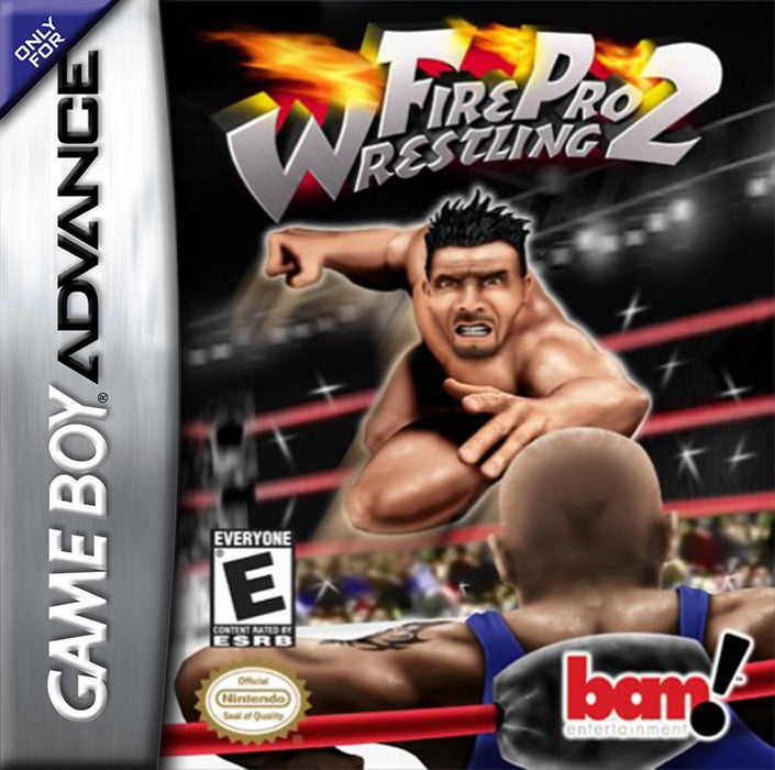 Fire Pro Wrestling 2 Cover Art