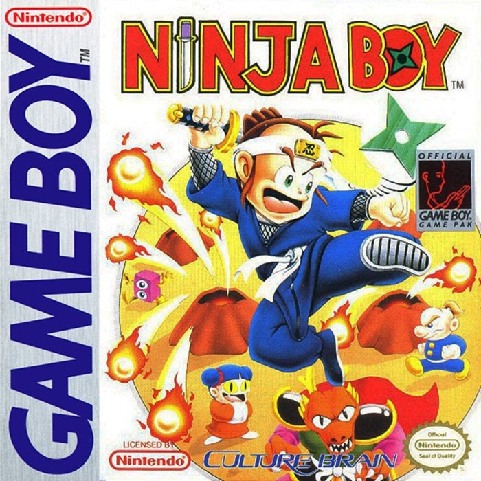 Ninja Boy Cover Art