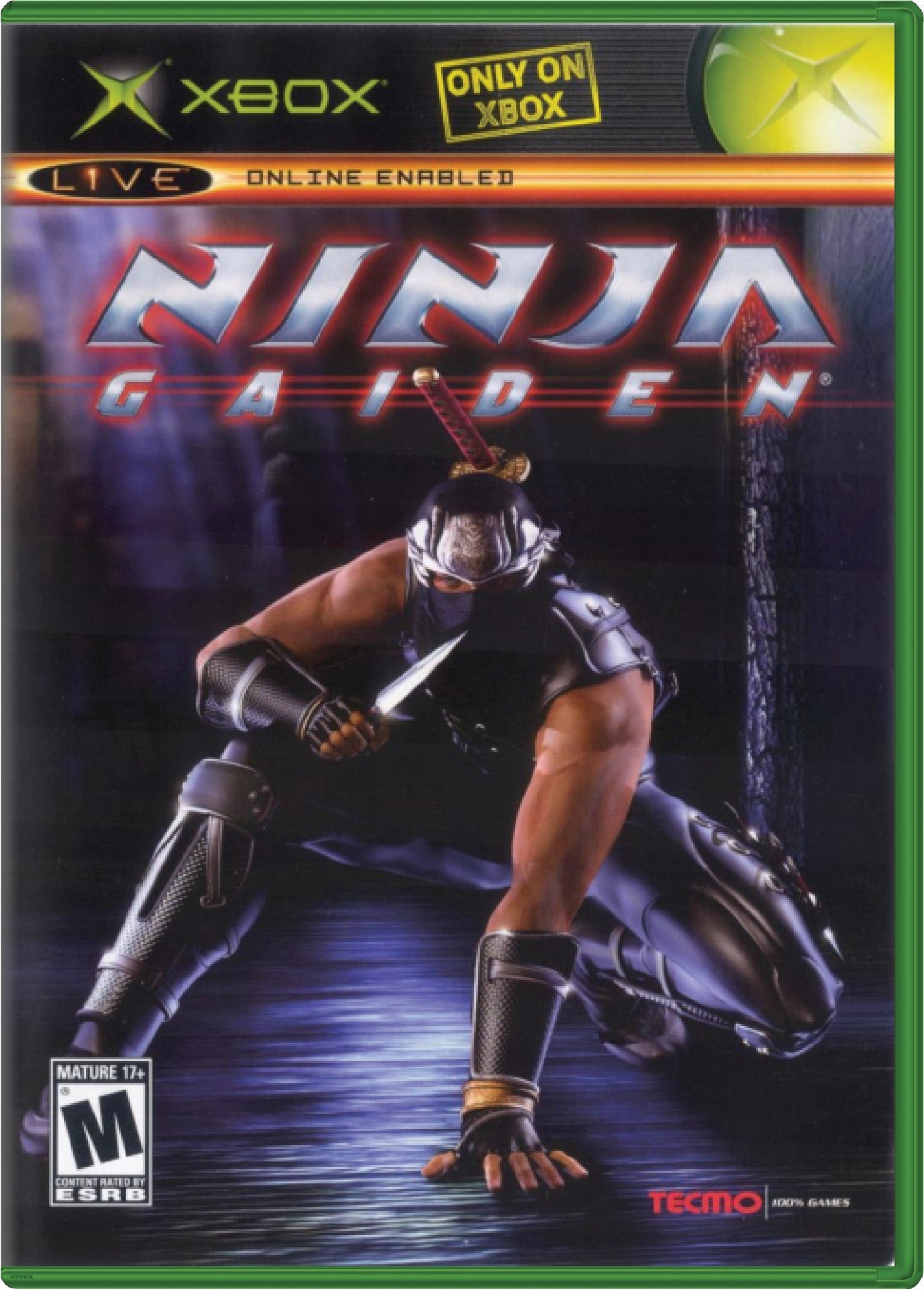 Ninja Gaiden Cover Art
