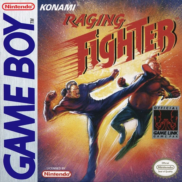 Raging Fighter Cover Art