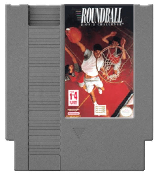 Roundball 2-on-2 Challenge Cover Art and Product Photo