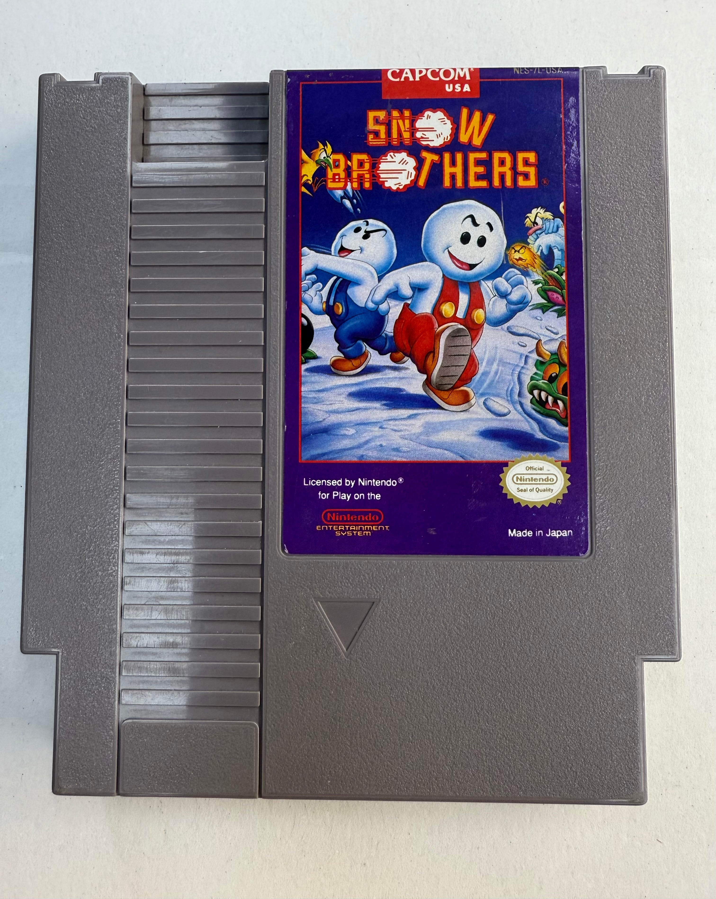 Snow Brothers - Nintendo NES