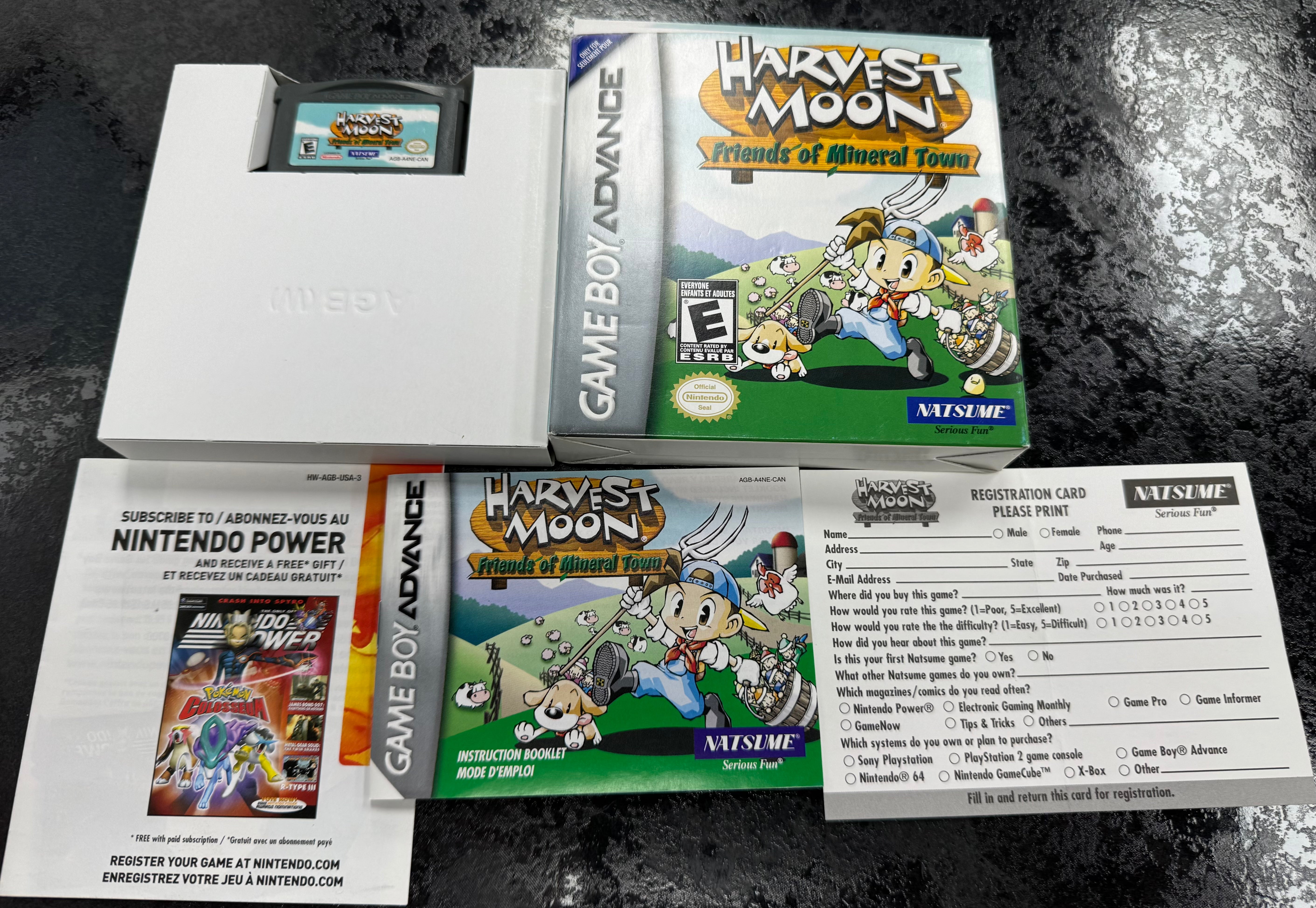 Harvest Moon Friends of Mineral Town - Nintendo Game Boy Advance