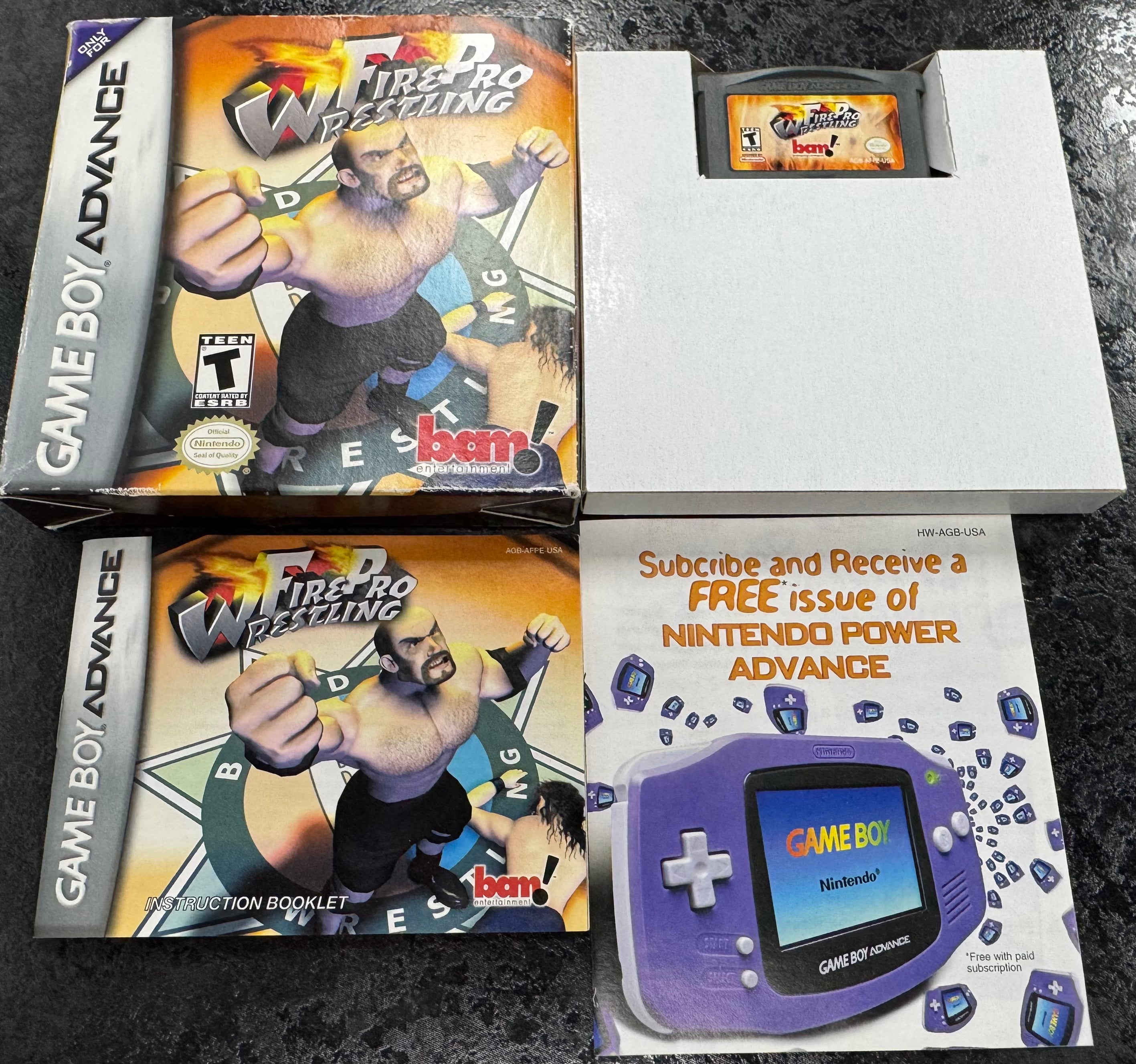 Fire Pro Wrestling - Nintendo Game Boy Advance