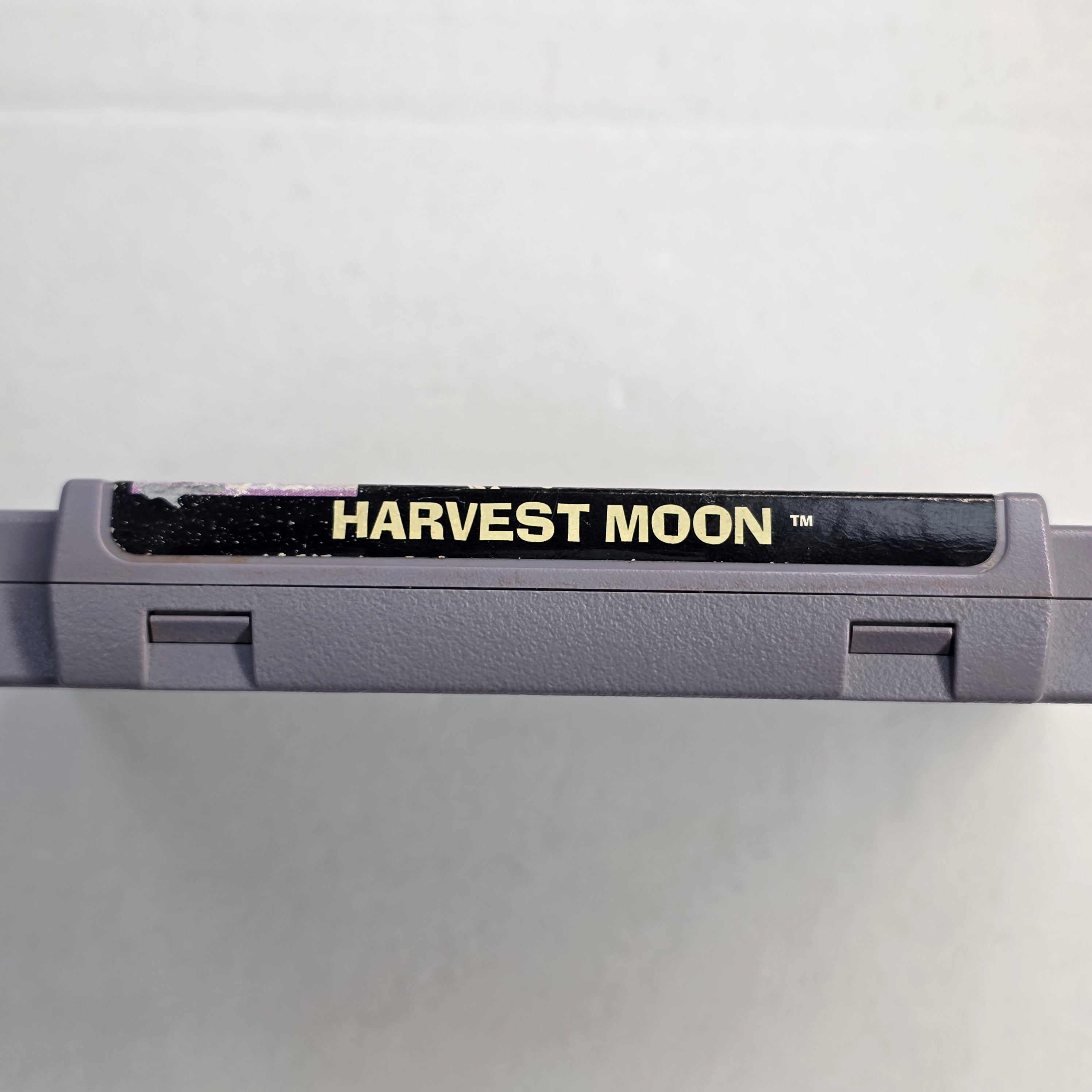Harvest Moon - Nintendo SNES