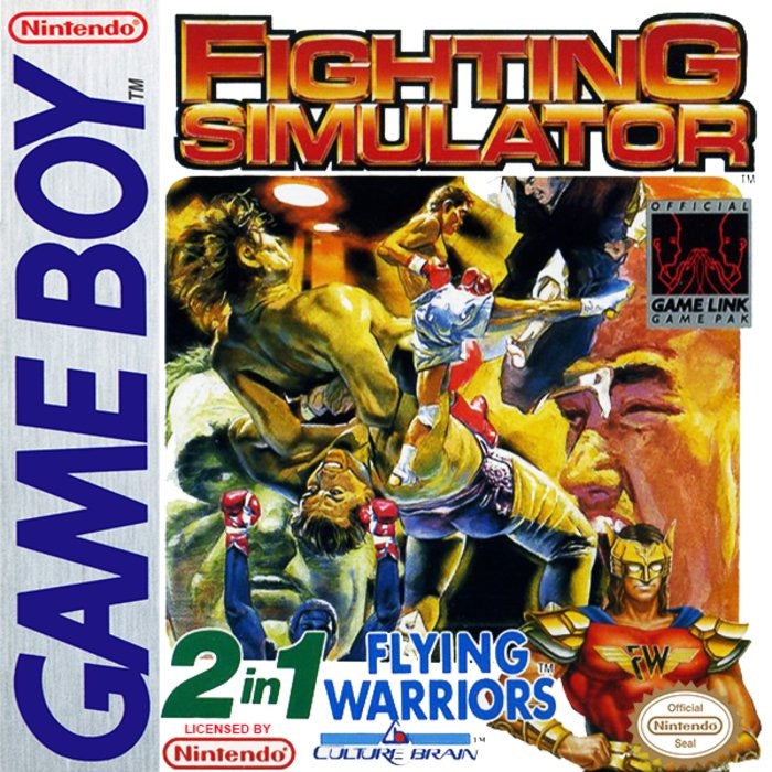 2 In 1 Flying Warriors / Fighting Simulator Cover Art