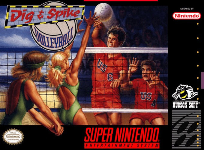 Dig and Spike Volleyball Cover Art