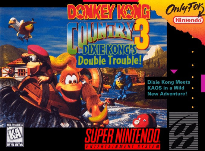 Donkey Kong Country 3 Cover Art