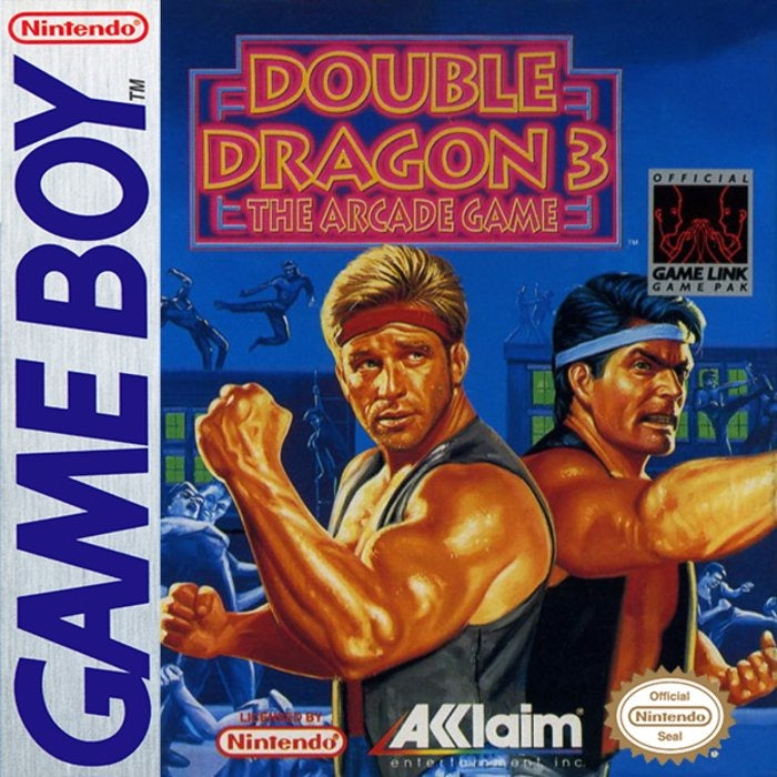 Double Dragon III The Arcade Game Cover Art