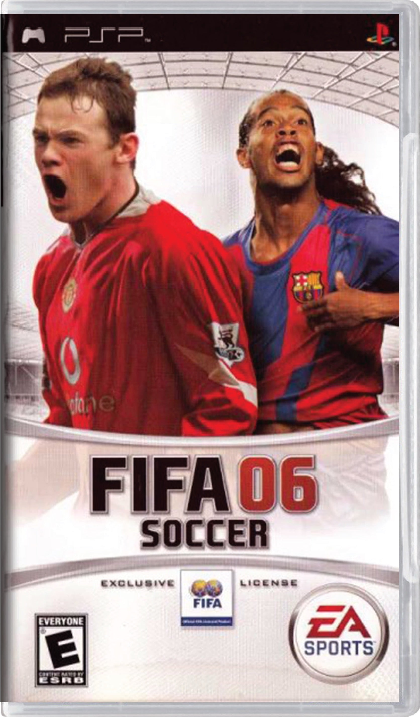 FIFA 06 Cover Art
