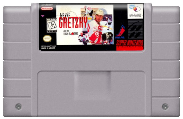 Wayne Gretzky and the NHLPA All-Stars Cartridge